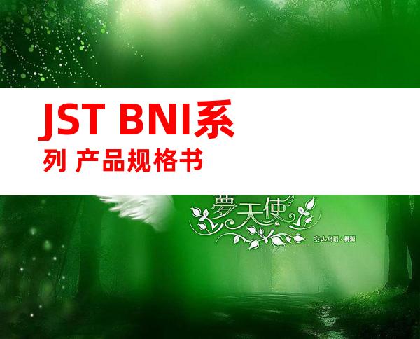 JST BNI系列 产品规格书